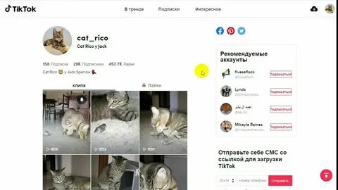 Тик в тт