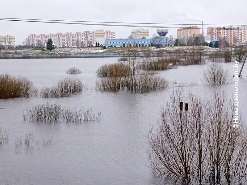 Уровень воды в днепре в жлобине сегодня