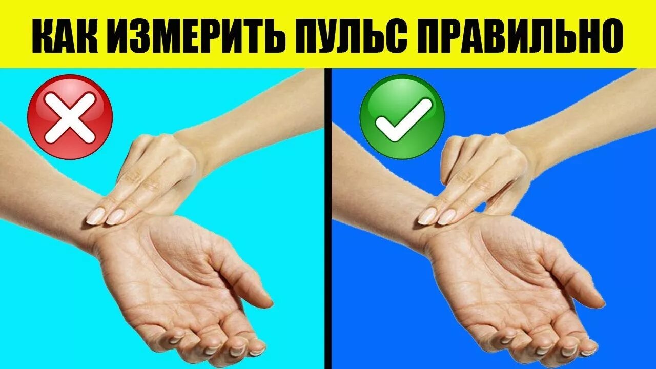 Как правильно мерить пульс. Как мерить пульс. как правильно измерять пульс. какиправельно мерить пулс. как измерить пульс на руке за 10 секунд.