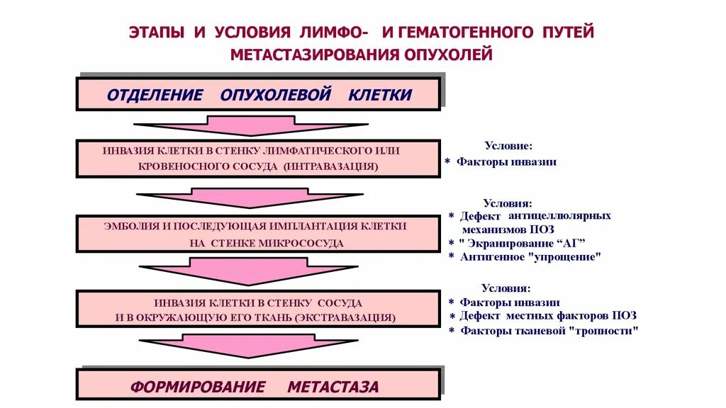 Пути метастазирования рака. Механизмы развития метастазирования опухолей. Механизмы метастазирования злокачественных опухолей. Механизм гематогенного метастазирования. Этапы метастазирования опухоли.