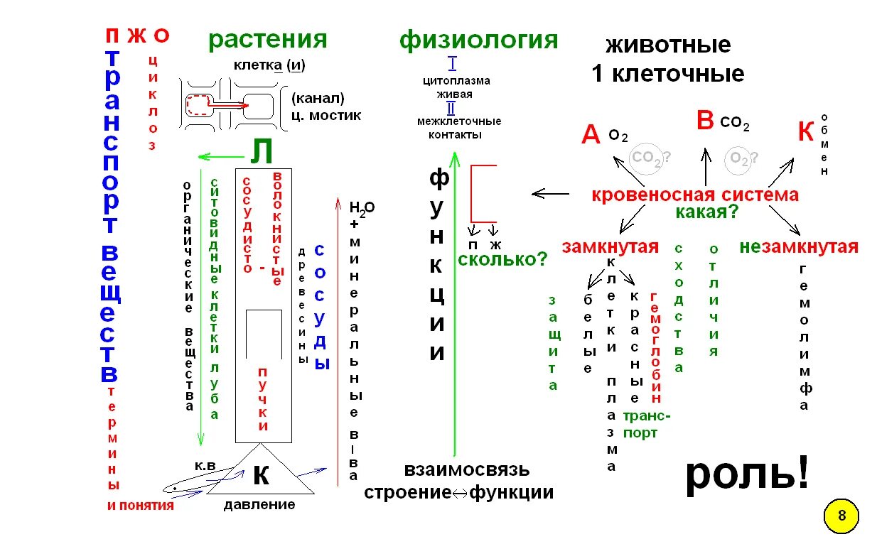 Биология 9 класс учебник конспекты. Опорные конспекты по биологии. Опорные схемы по биологии. Опорные конспект по общей биологии. Опорные схемы конспекты по биологии.