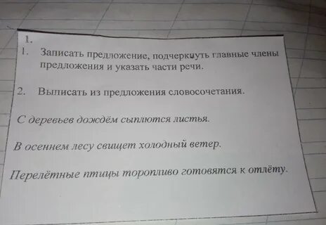 Подчеркните основные предложения