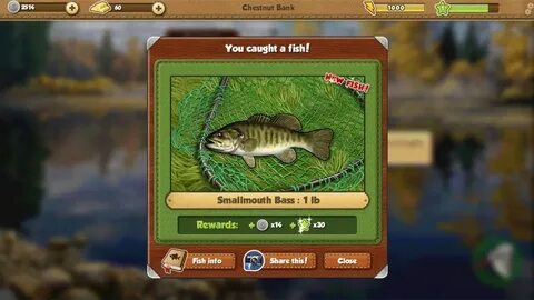 My fishing world реальная рыбалка