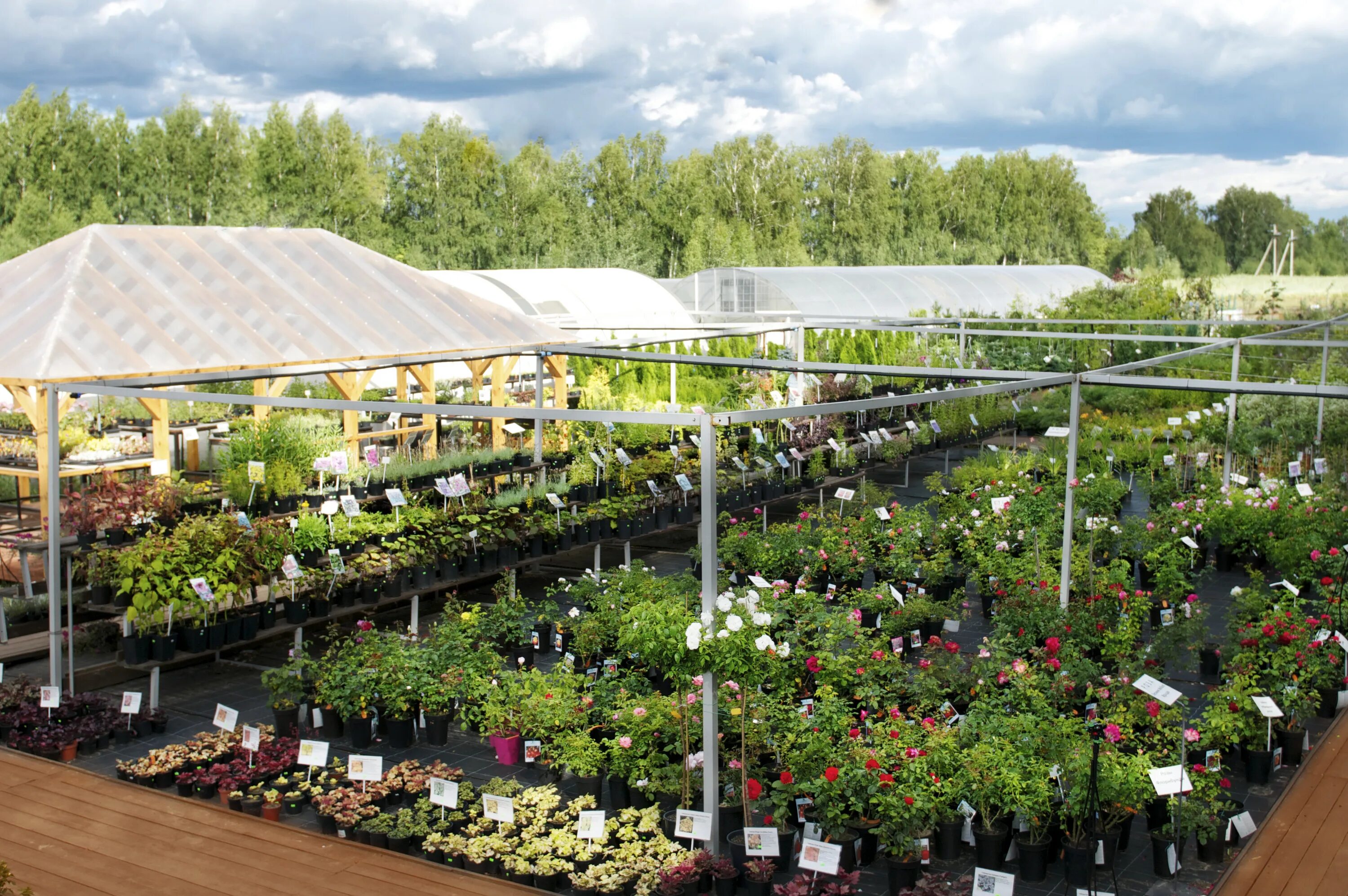Садовый центр москва. Питомник растений борский район. Гарденс садовый центр. Питомник растений яблоновский. Садовый остров псков неелово.