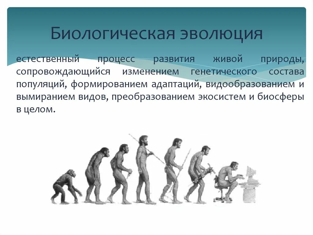 Условием развития человека помимо егэ. Понятие биологической эволюции. Биологическая Эволюция естественный процесс развития живой природы. Эволюция это в биологии. Эмолю.