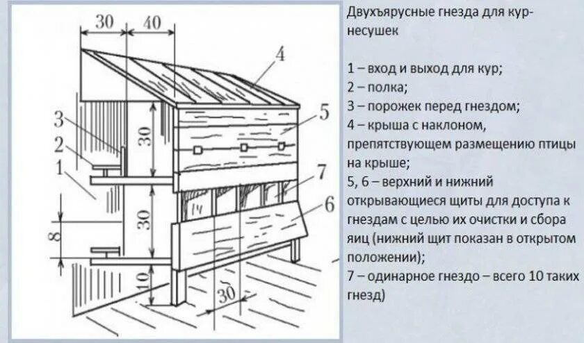 Чертежи яйцесборника для кур несушек своими руками. Гнёзда для кур несушек с яйцесборником чертежи. Гнездо для кур с яйцесборником чертеж. Размер гнезда для несушек курей. Чертеж гнезда для кур несушек.