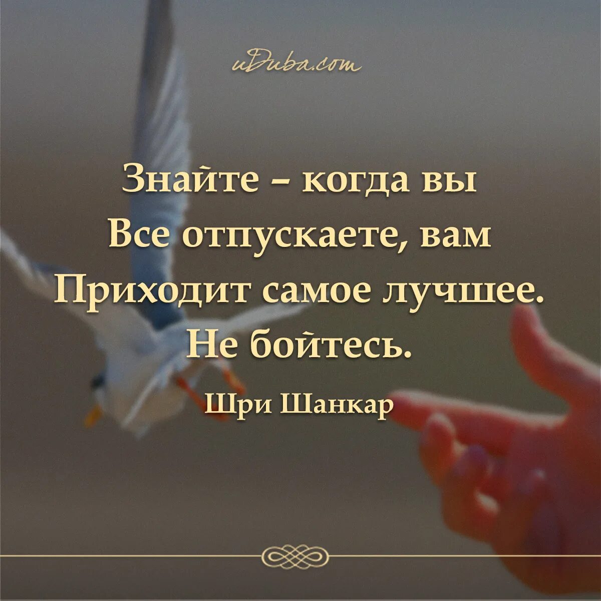 Отпускаю на юг текст. Отпустить ситуацию цитаты. Цитаты про отпускание. Цитаты про отпускание людей. Отпустить человека цитаты.