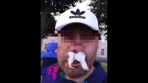Литвин напал на фаната