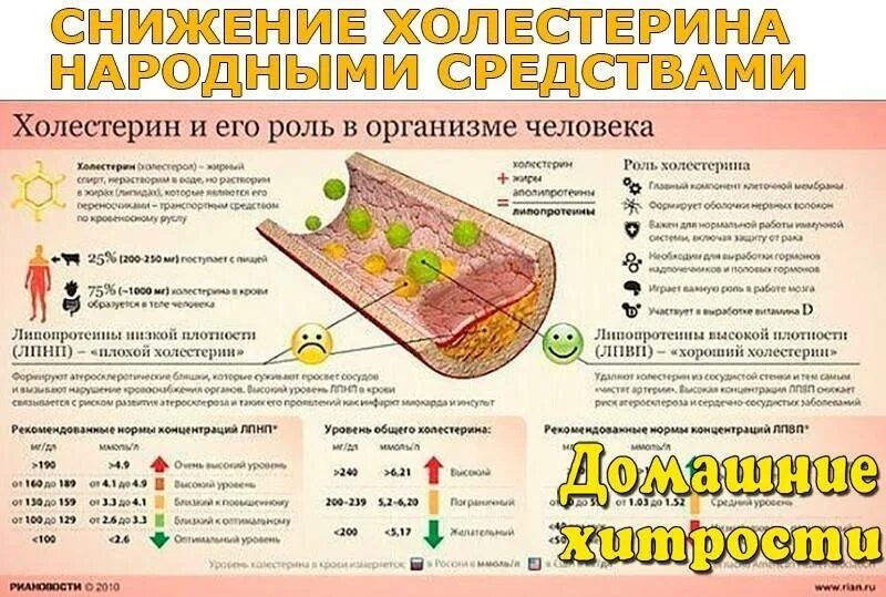 Почему много холестерина. Снижение холестерина. Снижение уровня холестерина в крови. Как СН зить холестерин. Холестерин повышение и снижение.