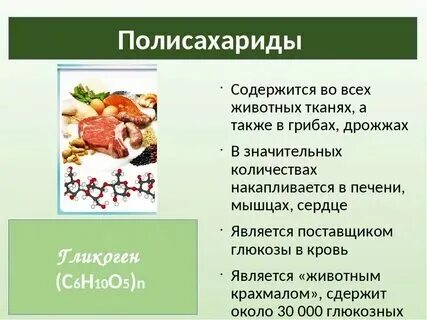 Углеводы 6 класс биология определение