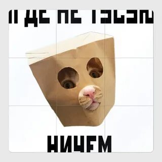 Ни устраивать