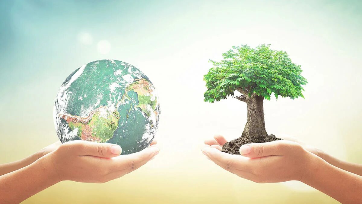 Of responsibility development of. Of responsibility development of
