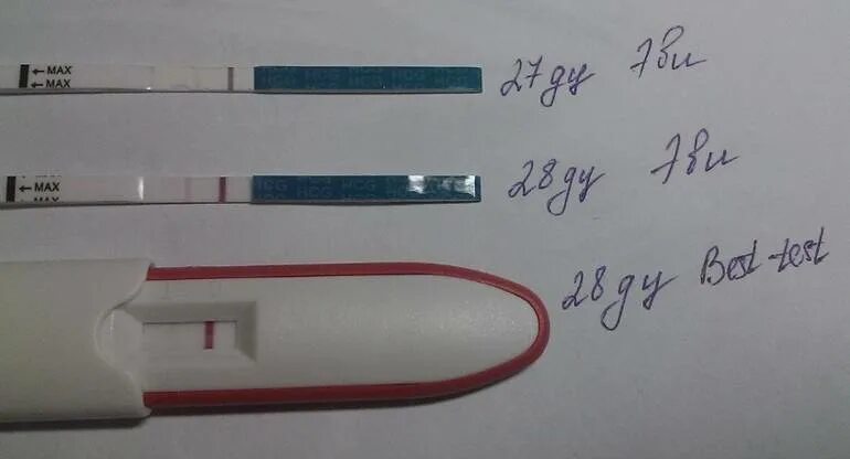 Тест положительный может быть ошибочным. Тесты до задержки месячных. После месячных тест положительный. Отрицательный тест на беременность. Положительный тест на беременность.