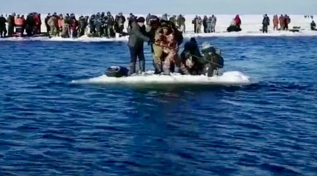 Свободно дрейфуют в воде