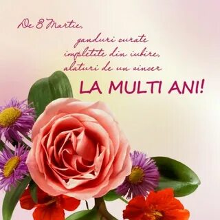 Felicitari de