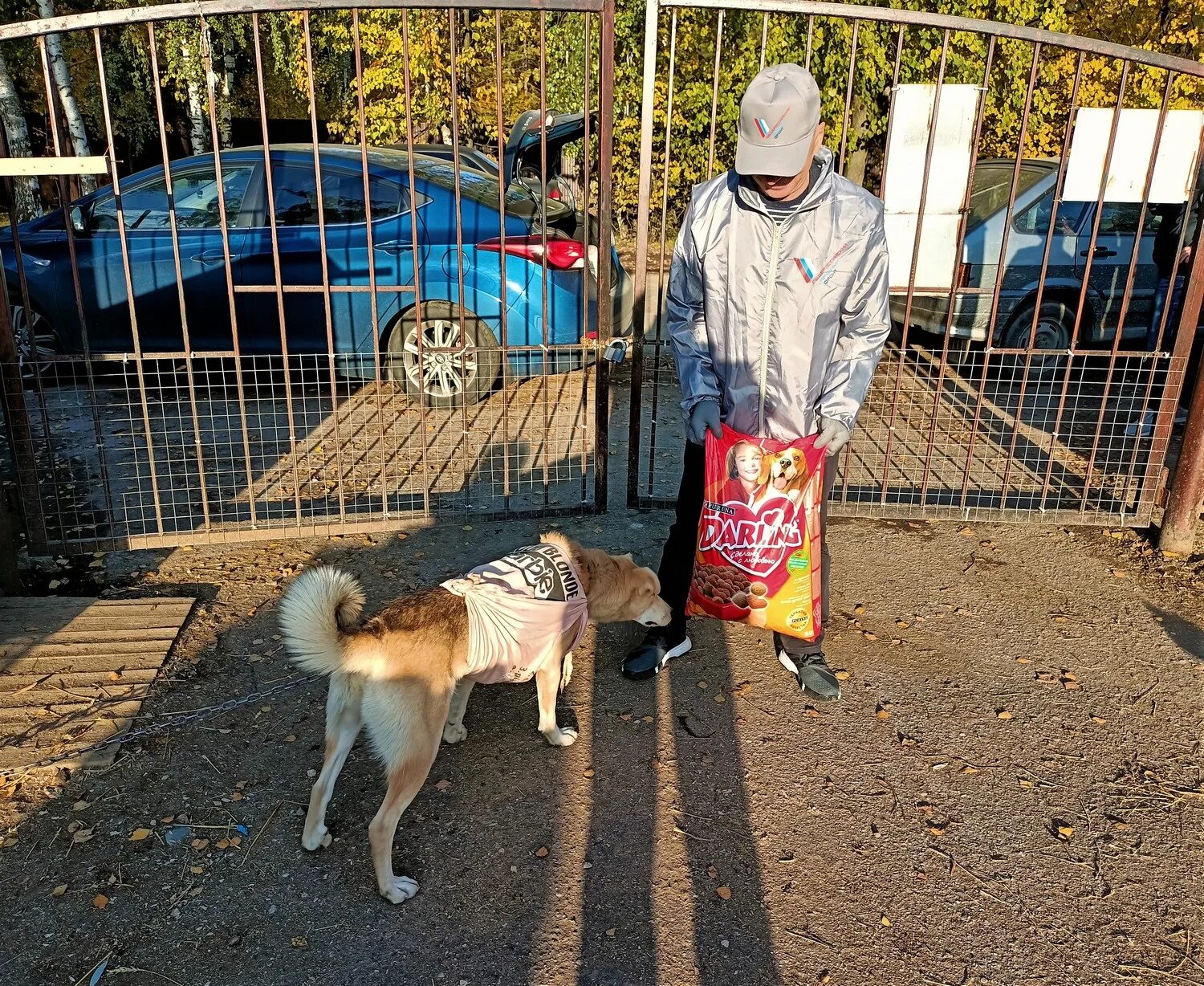 Приют Майский день Иваново. Приют Майский день картинки. Иваново Майский день приют для животных Дуниловское ш.6. Приют Майский день фото животных.