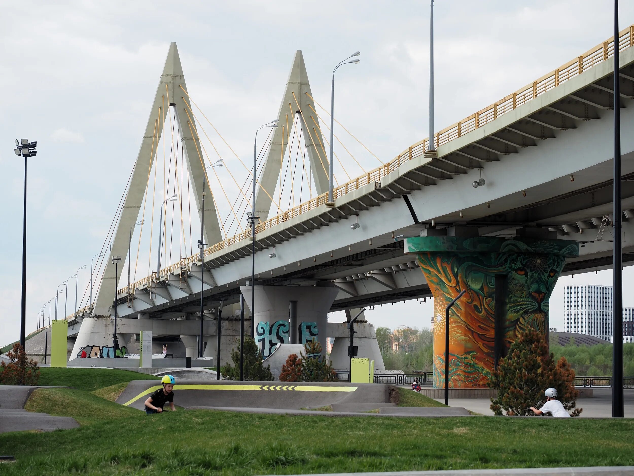 Казань проси. Мост в Казани. Миллениум Казань. Мост Миллениум Казань трассы. Мост Миллениум Казань и новый ипподром.