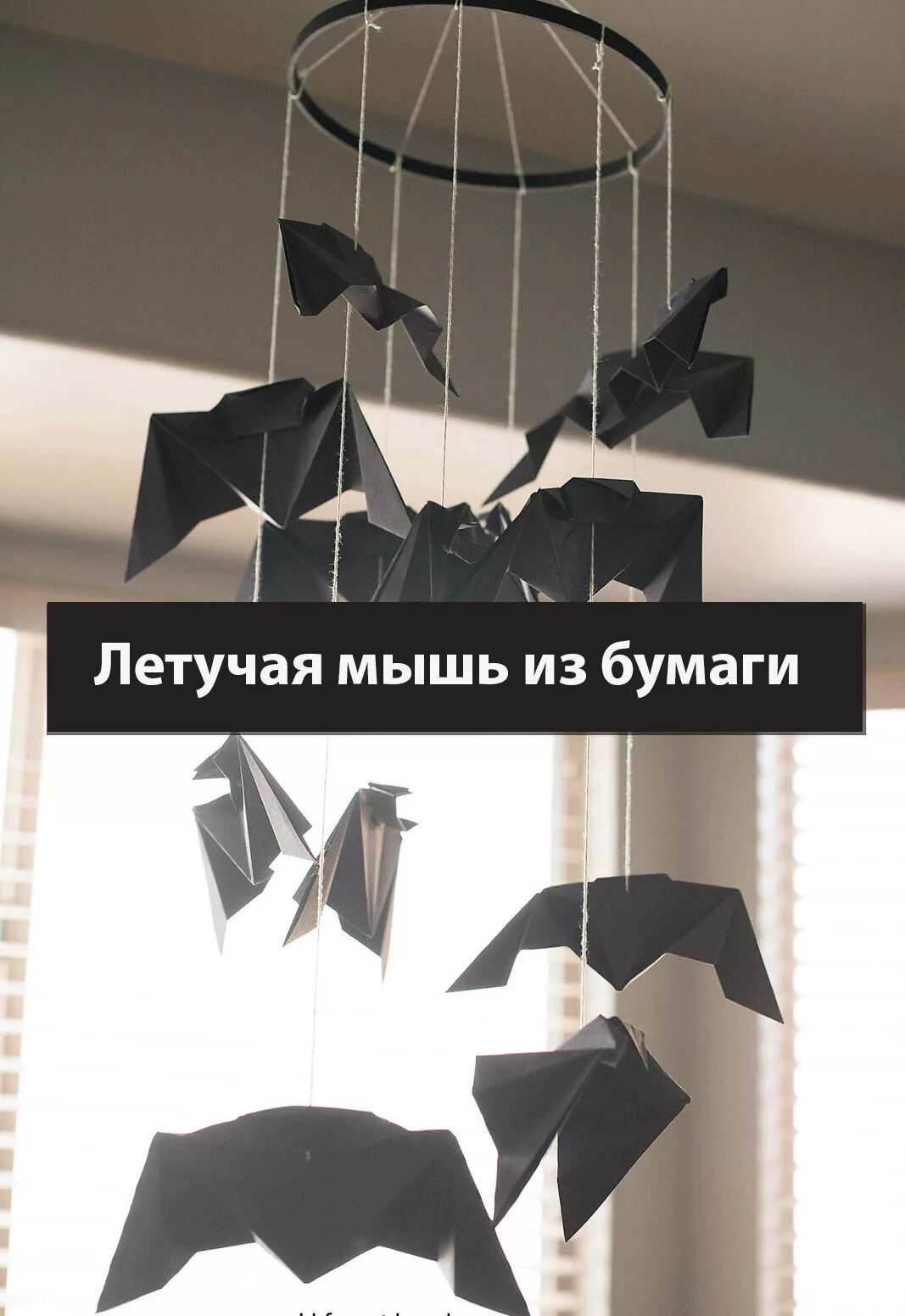 Как сделать летучую мышь своими руками. Летучая мышца из бумаги. летучаы мвль из бумаги. летучея мышь из бумагу. летучая мышка из бумаги.