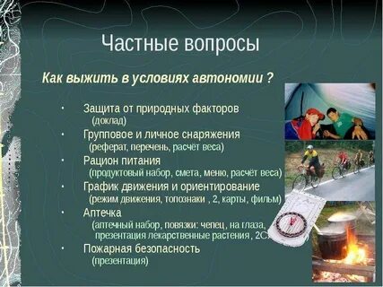 Презентация обж пожарная безопасность в природной среде