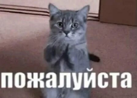 Не смотрите на меня пожалуйста