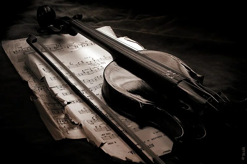 Скрипка на полу. Скрипка. Черная скрипка. Старинная скрипка. Красивая скрипка.