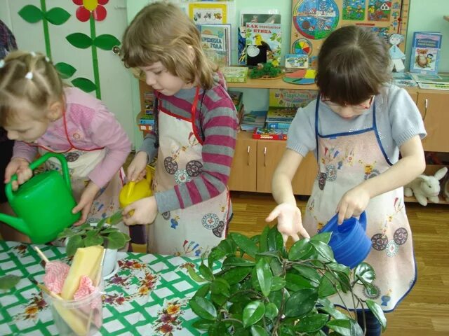 Трудовая деятельность на прогулке в старшей группе. Труд в уголке природы. Уголок природы для детей старшей группы. Труд в природе в детском саду. Труд в природе в старшей группе.