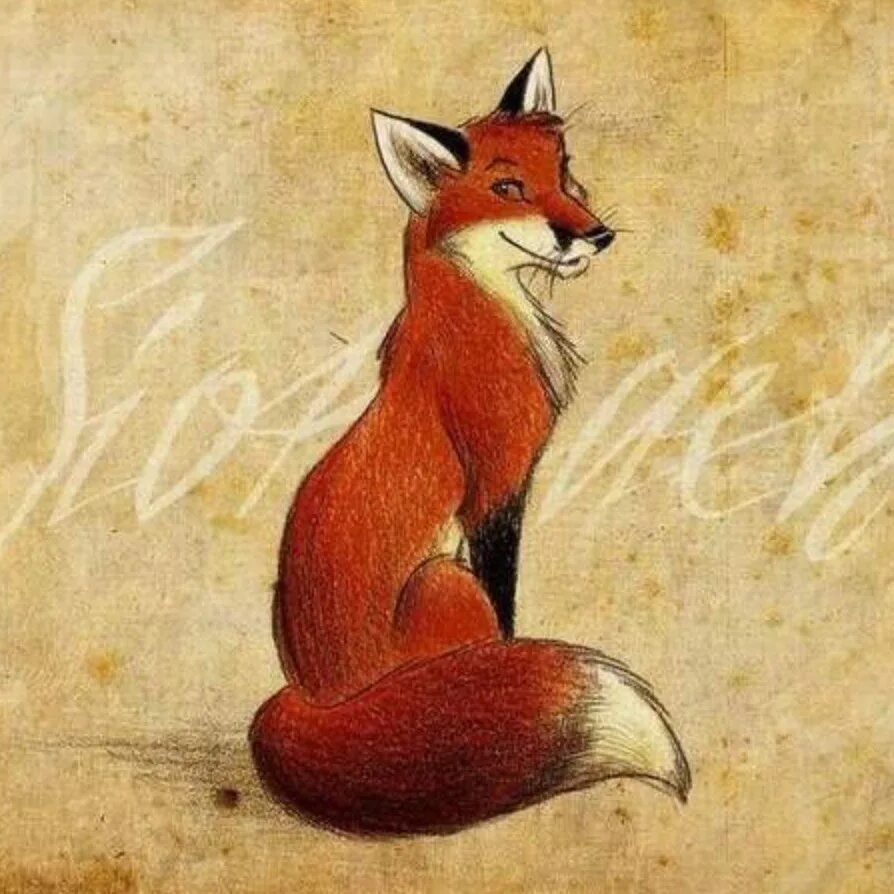 Рисунок сидящей лисы. Рисунок сидящей лисы. Лиса арт. Лиса. Лис арт белый фон.