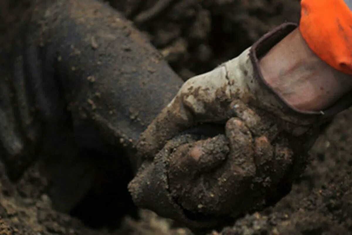 Земля погибает. Через сколько планета земля погибнет. Почему землю убивают. Погибшие на перевале дятлова 1959. Почему землю убивают.