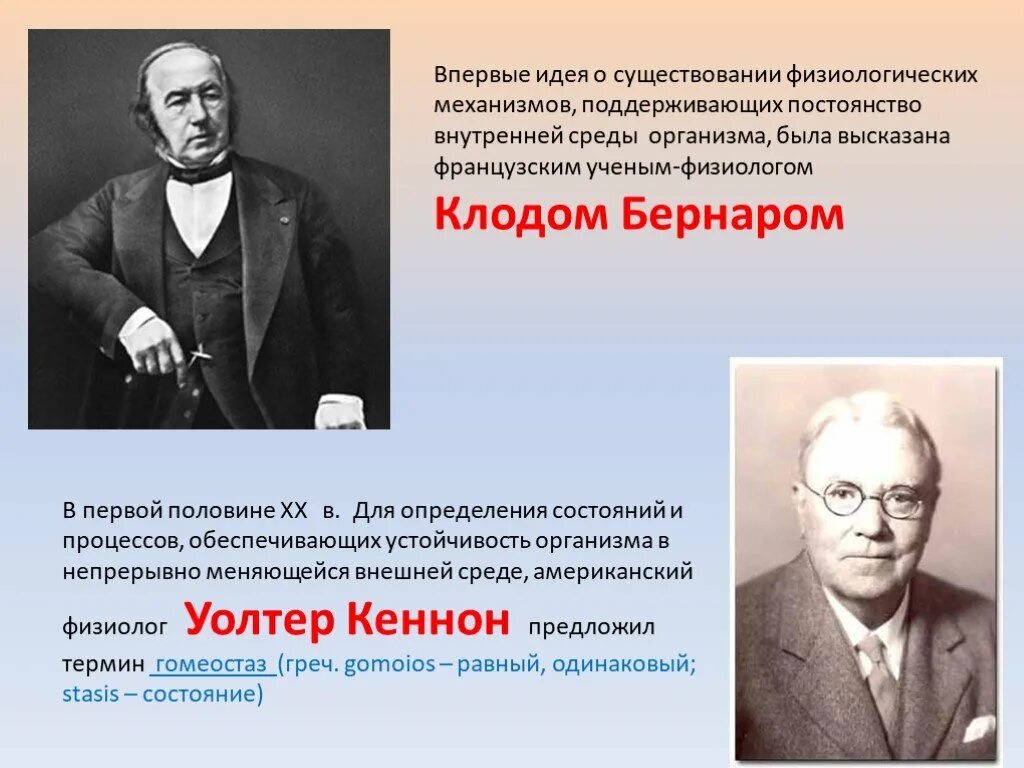 Термин гомеостаз ввел. Впервые. Уолтер Кеннон гомеостаз. Уолтэр Кеннон физиолог.