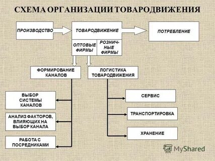 Организация системы товара