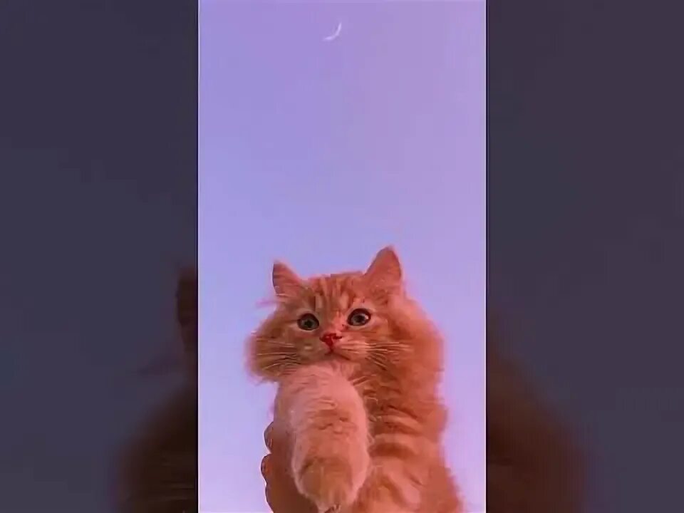 Попробуй зачитать. Попробуй зачитать