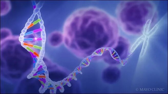 Днк опухоли. ДНК. Опухоль ДНК. Циркулирующая бесклеточная ДНК опухоли. Клетка в момент синтеза ДНК.