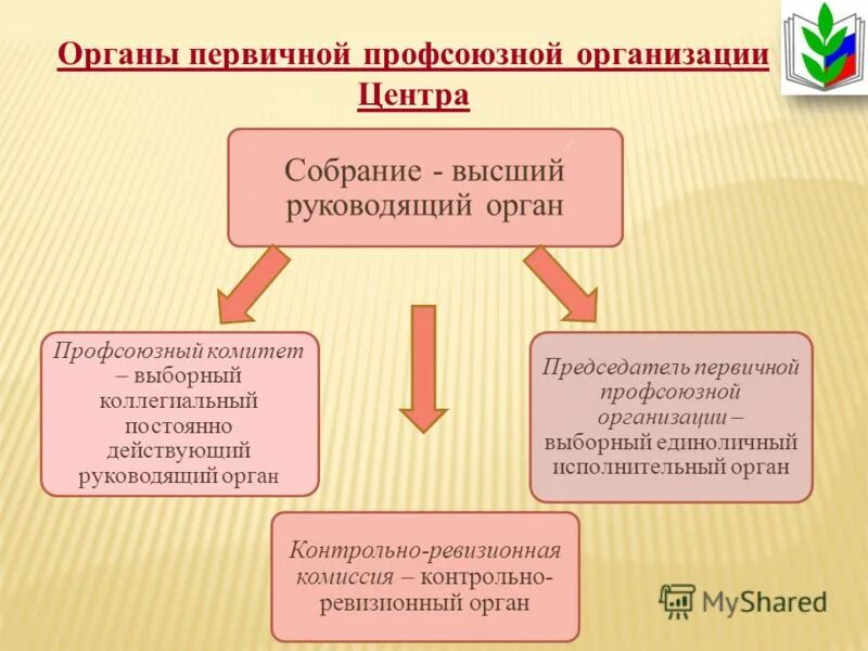 выборным коллегиальным исполнительным органом организации профсоюза президиумом. структура профсоюзной организации предприятия. коллегиальный орган в профсоюзе школы. выборным коллегиальным исполнительным органом организации профсоюза президиумом. выборным коллегиальным исполнительным органом организации профсоюза президиумом.