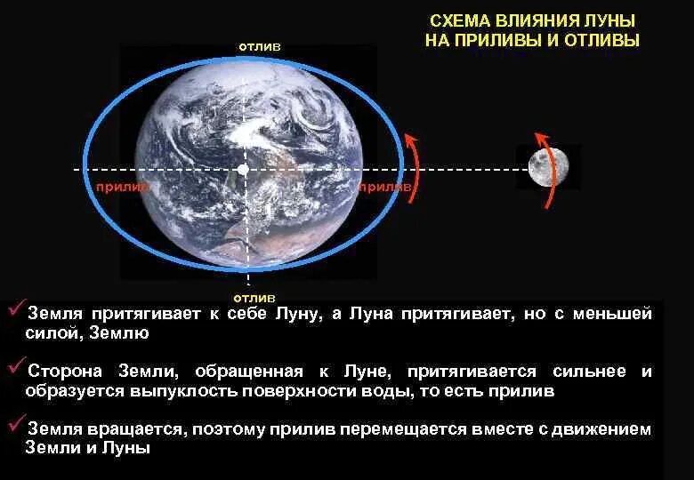 Луна вода притяжение. Воздействие Луны на землю приливы и отливы. Земля Луна отлив прилив схема. Схема лунных приливов и отливов. Гравитационное Притяжение Луны вызывает приливы и отливы на земле..