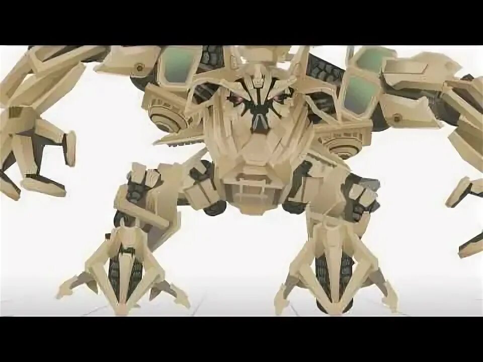 Transformers shorts