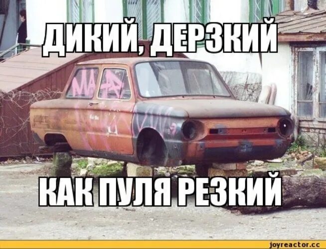 Глупый резкий