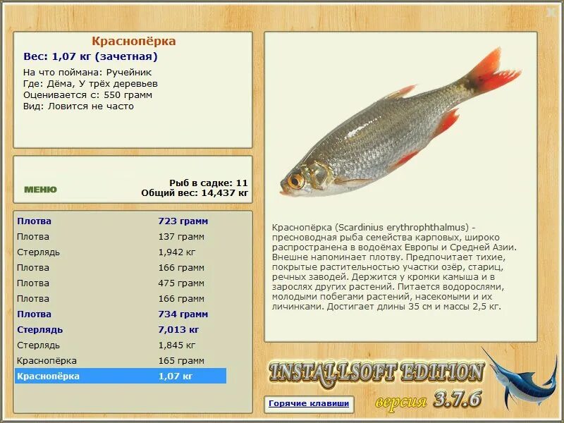 Где карта плотвы