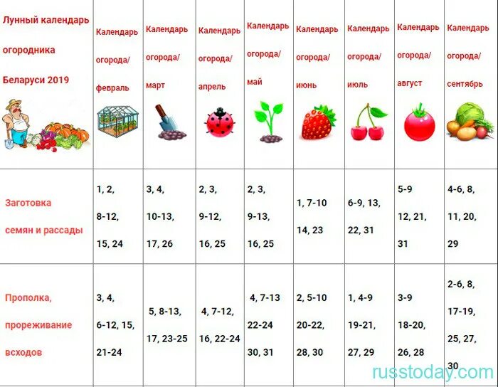 Календарь огородника на апрель 2023. Календарь садовода на сентябрь 2021. Лунный календарь на 2023 год садовода и огородника. Календарь огородника на 2024 год. Лунный календарь огородника на апрель месяц 2024