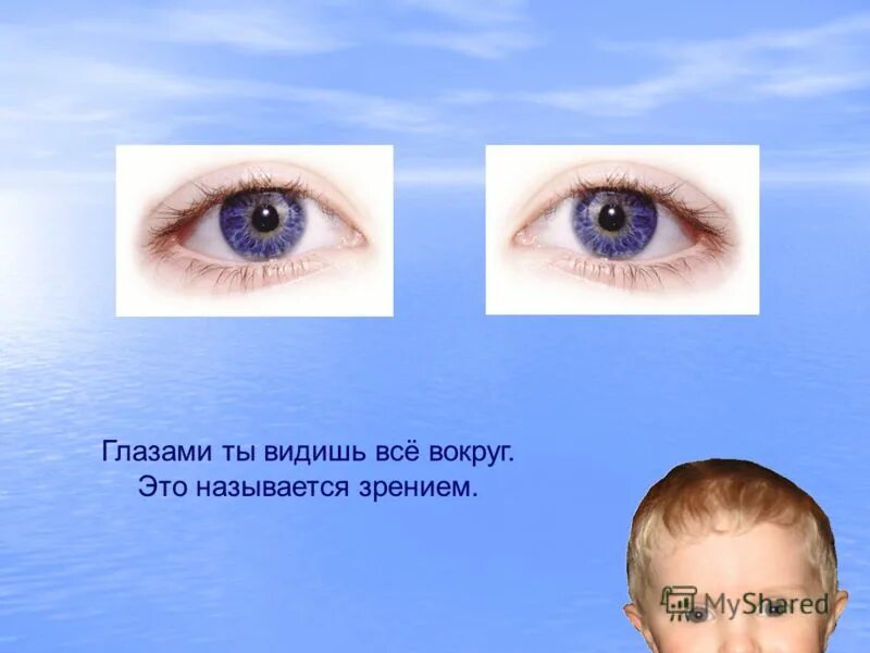 Защиту глаза выполняет. Свойства глаза. Свойства зрения человека. Свойства глаза человека. Основные свойства зрения и глаза.