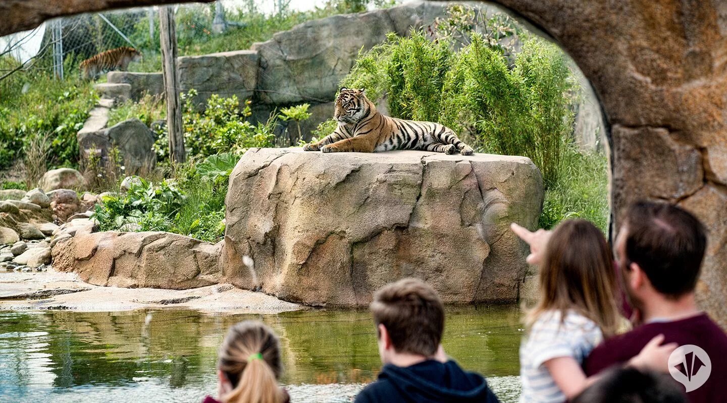 Zoo animals park. Зоопарк Барселоны. Сафари-парк Великобритания. Честер зоопарк. Лондонский зоопарк серпентарий.