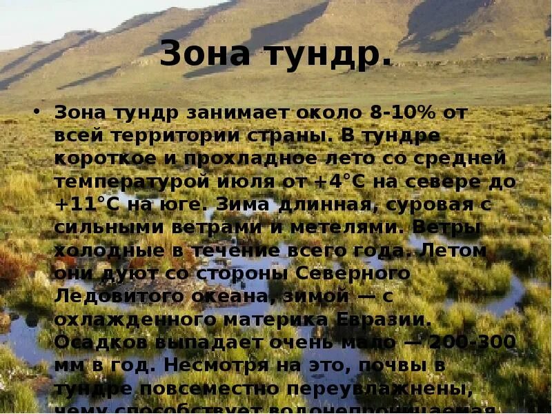 Для зоны тундр россии характерны. Зона тундры деятельность человека. Сообщение о природных зон России короткое. В тундре за короткое прохладное лето. Города в зоне тундры.