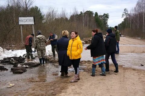Погода в максатихе на 10 дней