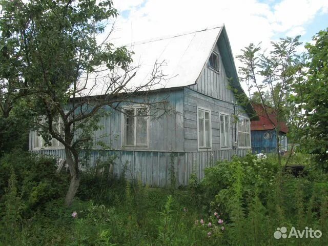 Аввакумово тверь. Аввакумово тверь фото. Аввакумово тверь. Аввакумово тверская область. Аввакумово.