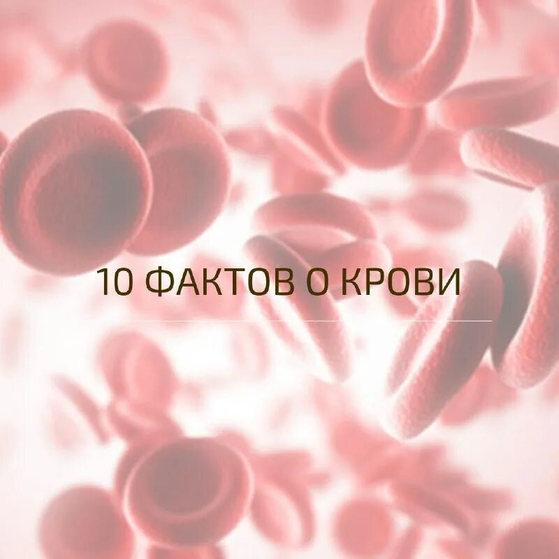 обескровить времени ноздреватый. губка проверочное слово. окказионализмы примеры слов. обескровить или обескроветь. обескровить или обескроветь.