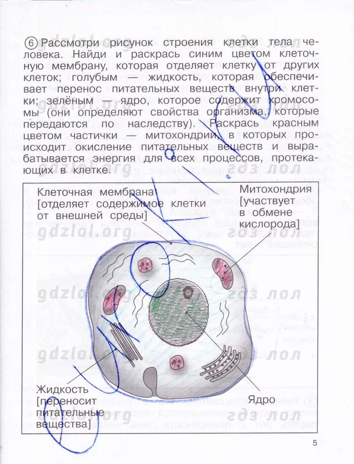 Федотова 4 класс рабочая тетрадь 2