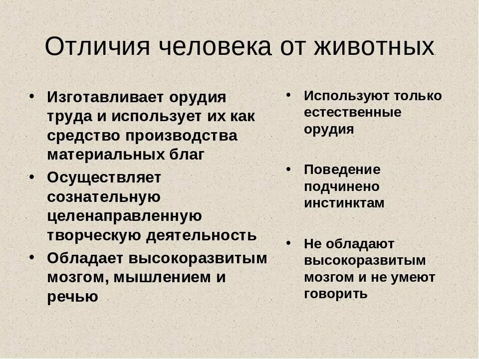 Что отличает человека