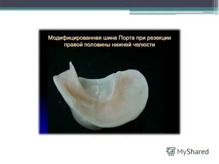Шина порта