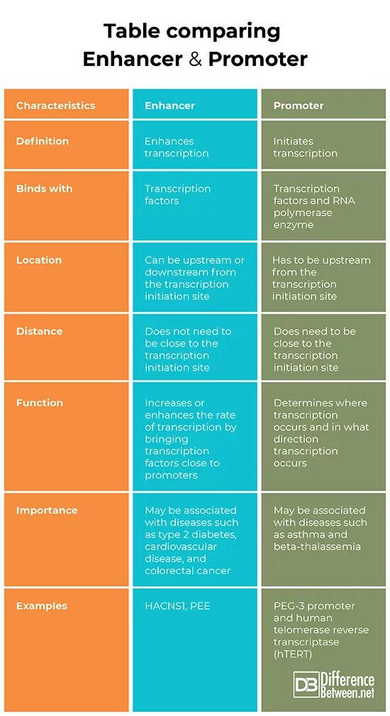 Употребление so such. Употребление so such. Such type. Such wow. Such type.