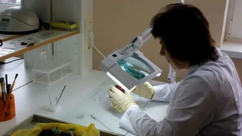 Экспертиза выявила