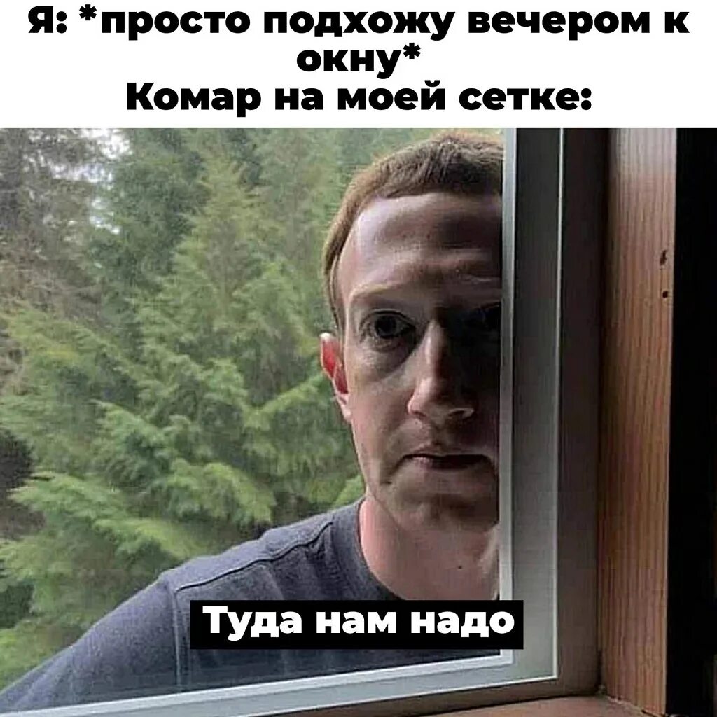 Цукерберг мемы. Цукерберг мем. новая сеть цукерберга.